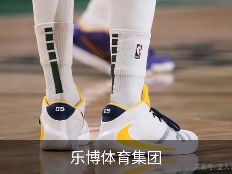 乐博体育集团概况